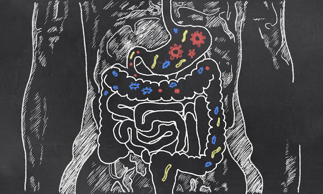 Hoe Leaky Gut te Herkennen en te Voorkomen