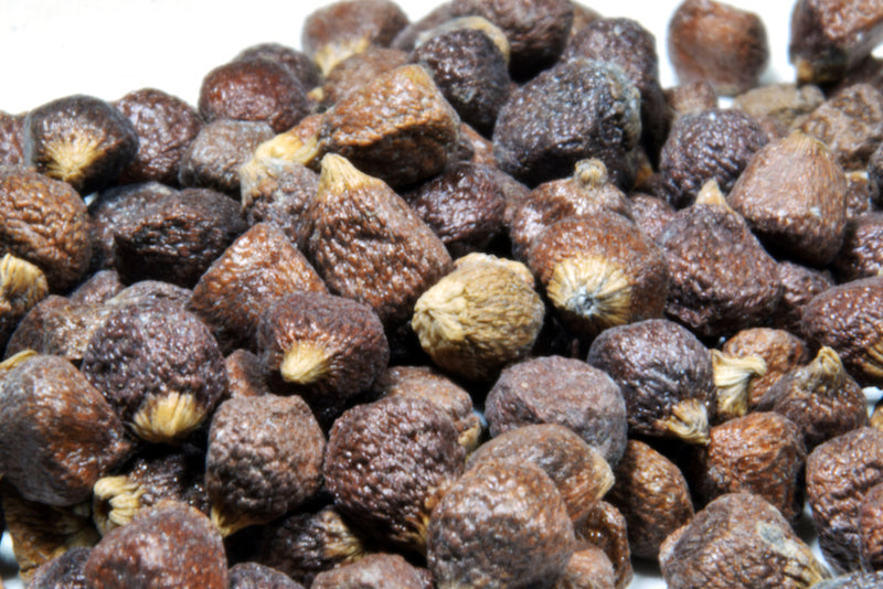 Grains of Paradise Benefits for Body Composition