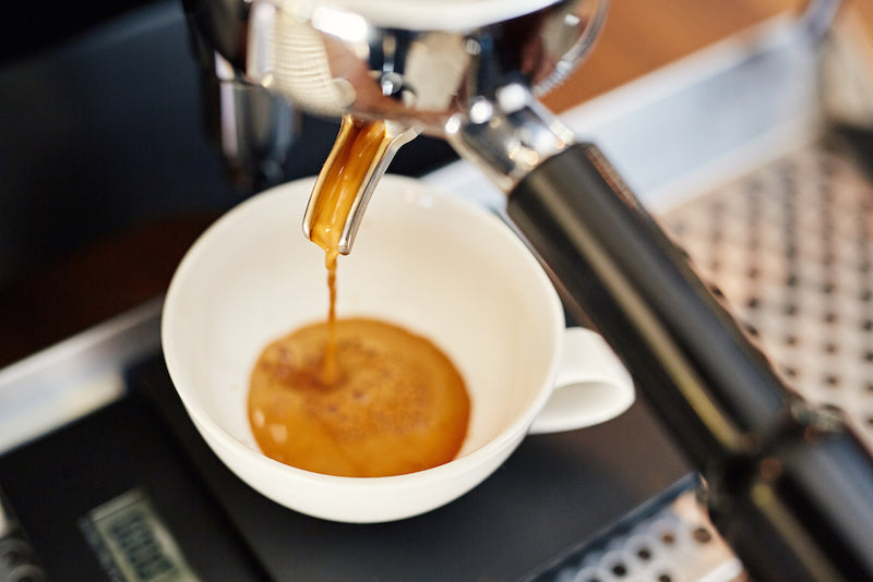 Best Protein Powder to Mix With Coffee