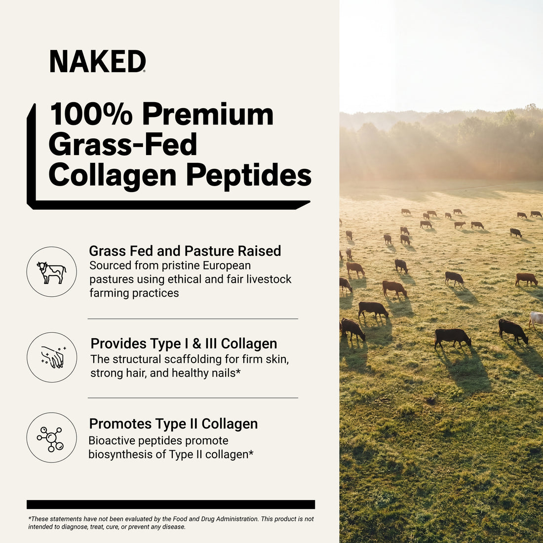 Vanilla Collagen Peptides Powder | Naked Collagen - 1.2 LB