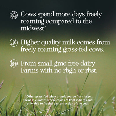 about our grass fed whey protein