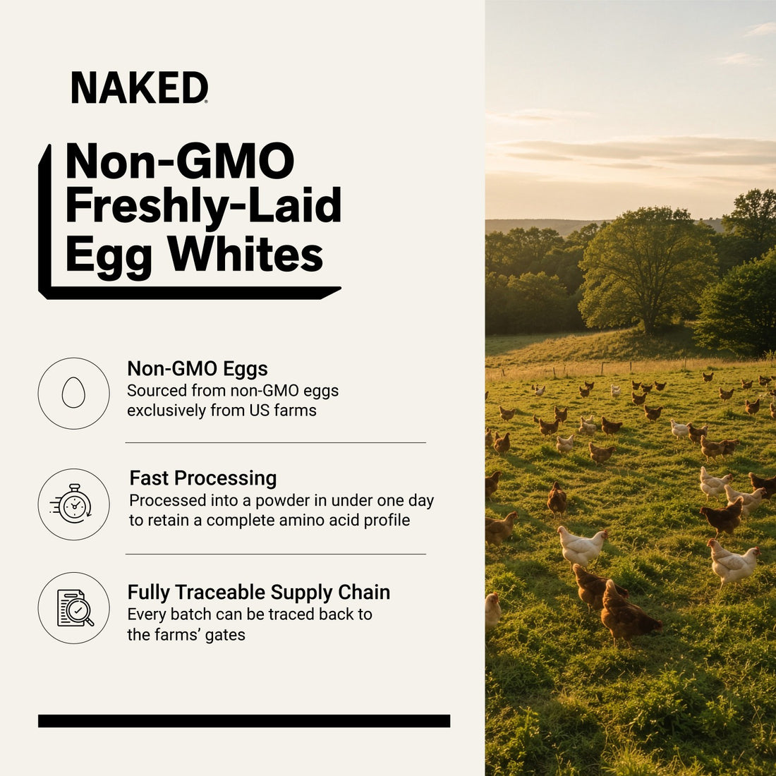naked egg protein from non-gmo eggs sourced from us farms