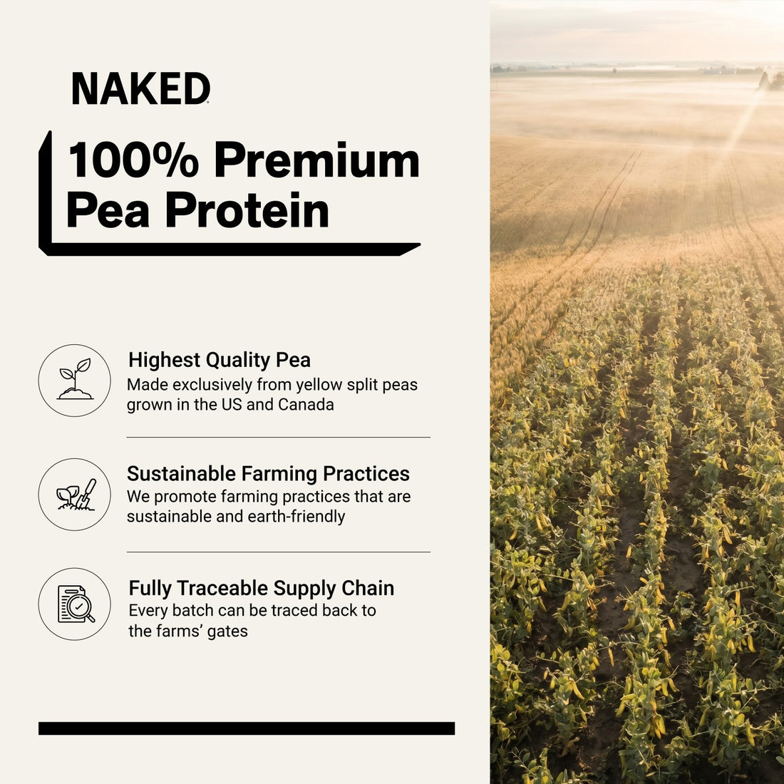 naked pea chocolate peanut butter protein sourcing infographic